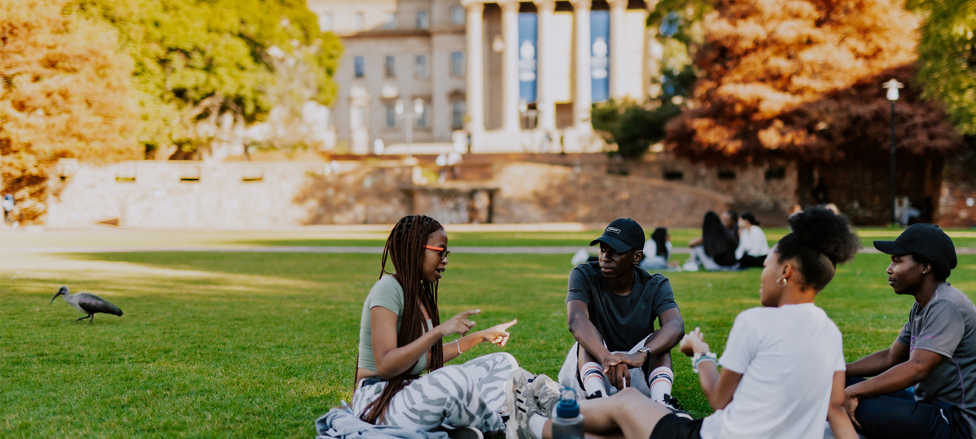 Students on Library Lawns