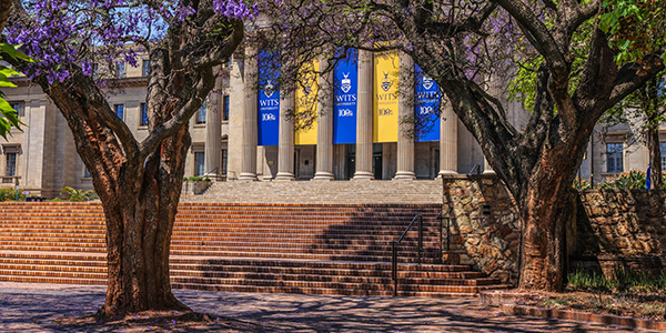 Jacaranda trees framing the Wits Great Hall in the background